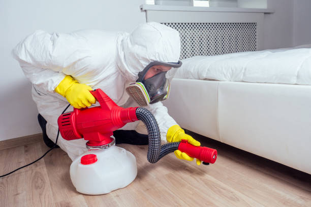 Best Pest Control for Restaurants  in Manson, IA