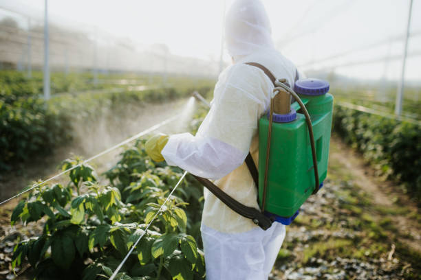 Pest Control for Restaurants in Manson, IA